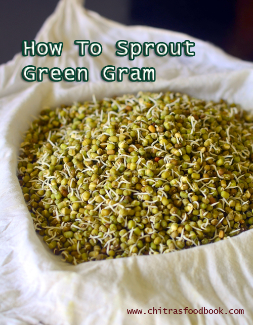 How To Make Sprouts At Home – Moong Bean Sprouts – Green Gram Sprouts